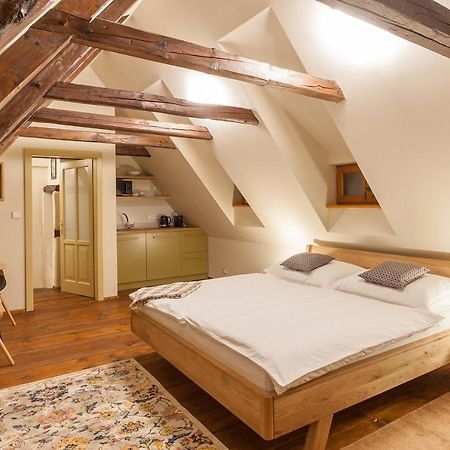 Babyka Apartments Český Krumlov Extérieur photo
